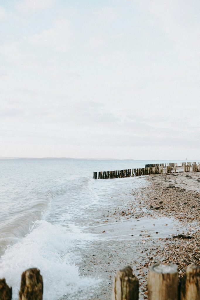 annie-spratt-RWCtRDq5xW0-unsplash